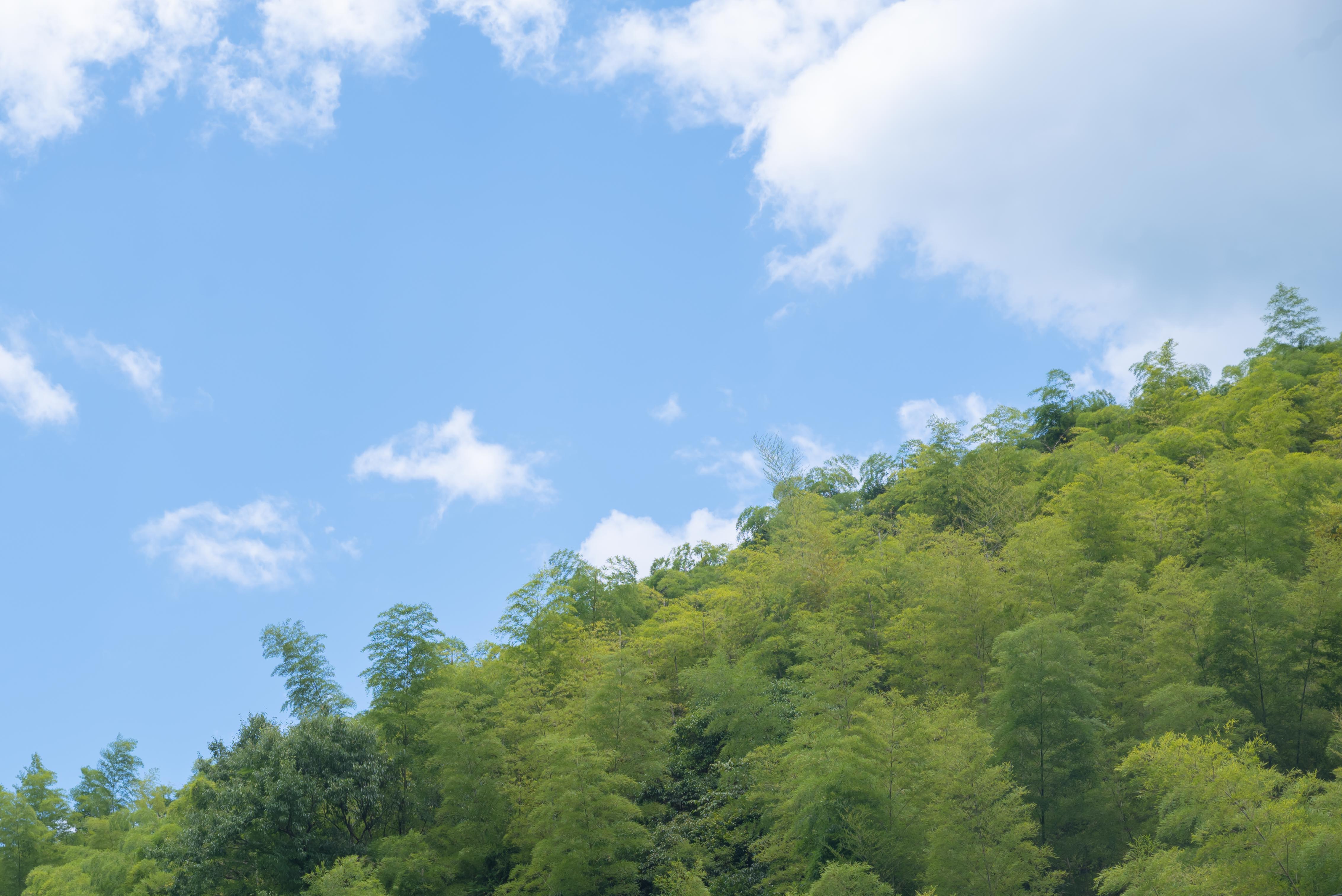 莫干山 · 夏日漂流